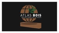 atlas bois logo txtblc cartouche noir