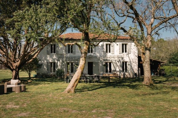 entre chênes et pins1